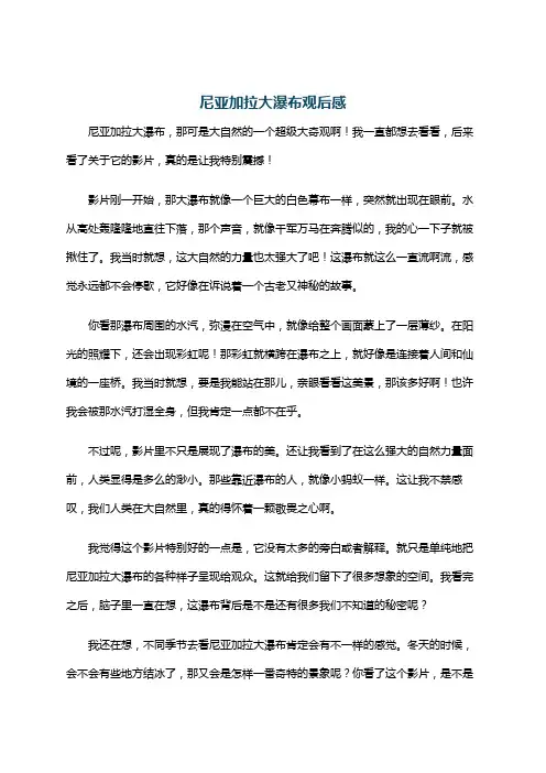 尼亚加拉大瀑布观后感