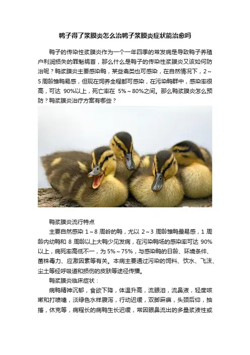 鸭子得了浆膜炎怎么治鸭子浆膜炎症状能治愈吗