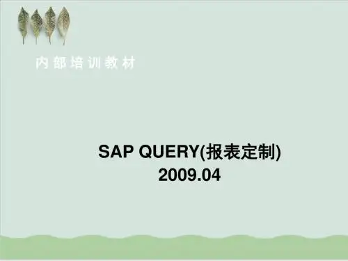 SAP QUERY(报表定制)基础讲义PPT课件( 33页)
