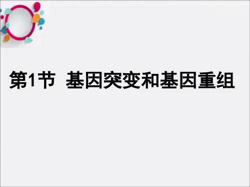 《基因突变》PPT课件