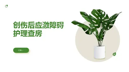 创伤后应激障碍护理查房PPT