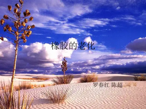 橡胶的臭氧老化