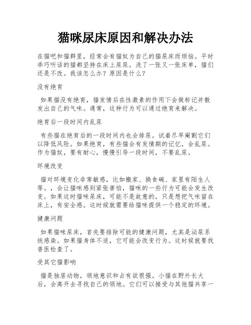 猫咪尿床原因和解决办法