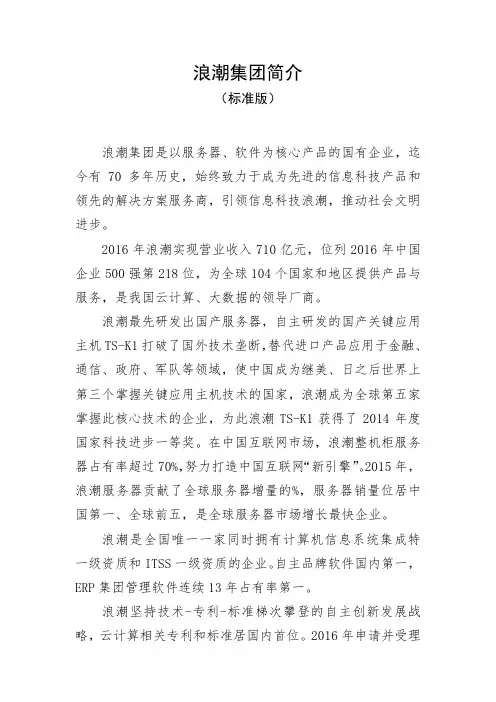 浪潮集团简介 标准版