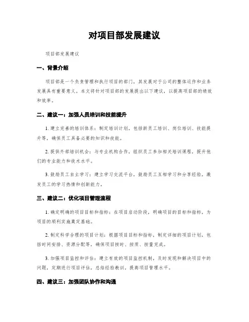 对项目部发展建议