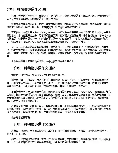 介绍一种事物小猫400字