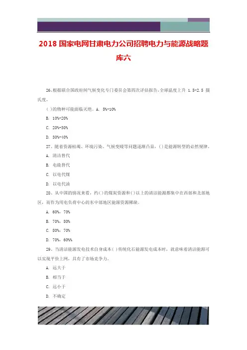 2018国家电网甘肃电力公司招聘电力与能源战略题库六
