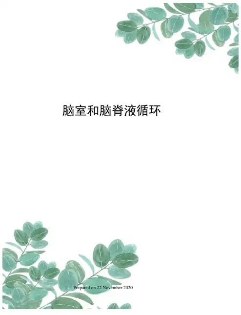 脑室和脑脊液循环