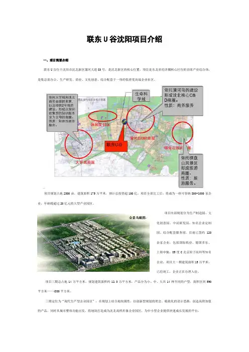 联东U谷沈阳项目简介