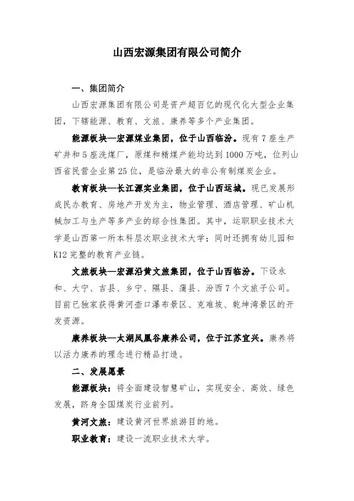 山西宏源集团有限公司简介【模板】