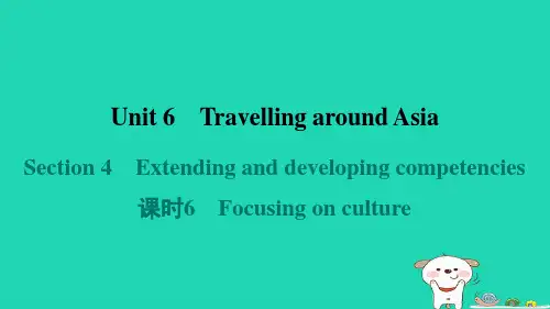 2024七年级英语上册Unit6Section4课时6Focusingonculture课件沪教版
