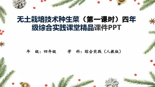 无土栽培技术种生菜(第一课时)四年级综合实践课堂精品课件PPT