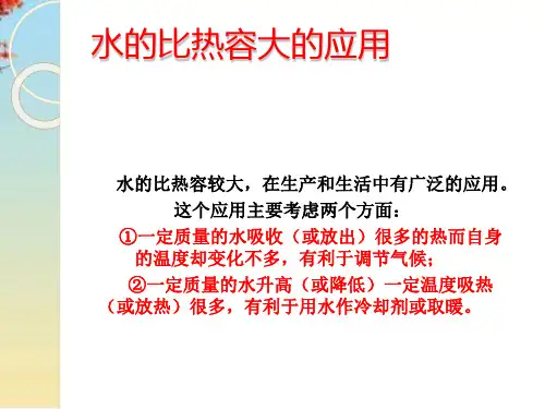 科学探究：物质的比热容ppt 沪科版