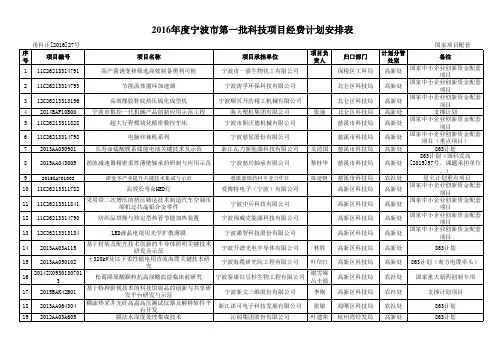 2016年宁波市第一批科技项目汇总表-结转等