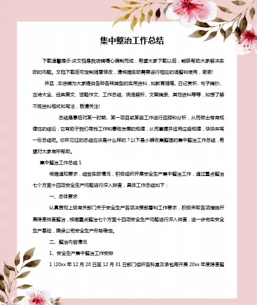集中整治工作总结