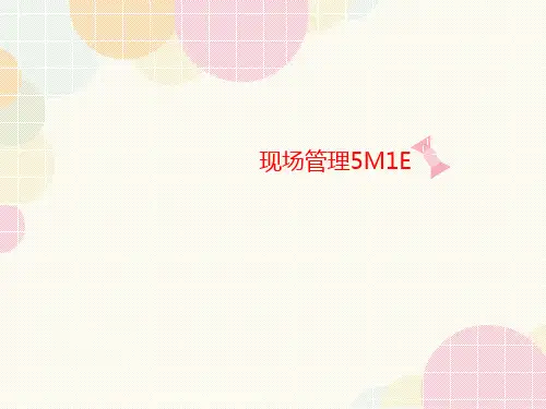 现场管理讲义5M1E