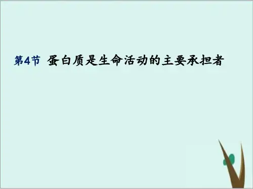 《蛋白质》PPT精品课件人教版1