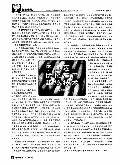 子白莲优化高产栽培技术