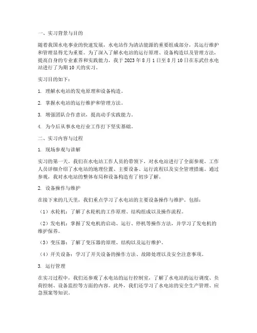东武仕水电站实习报告