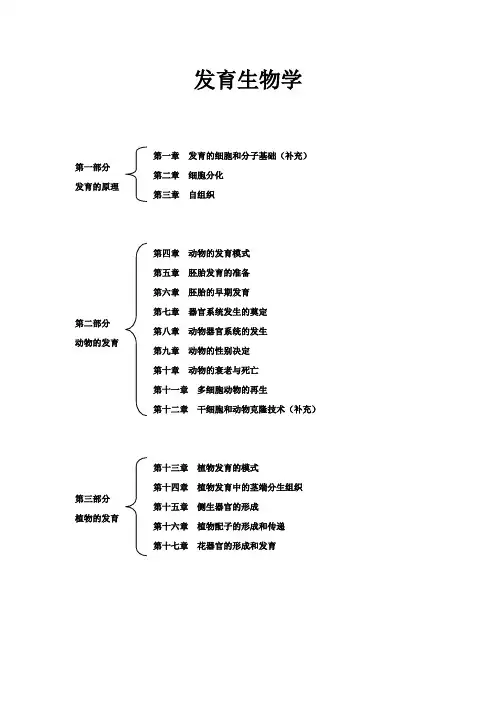 发育生物学重点