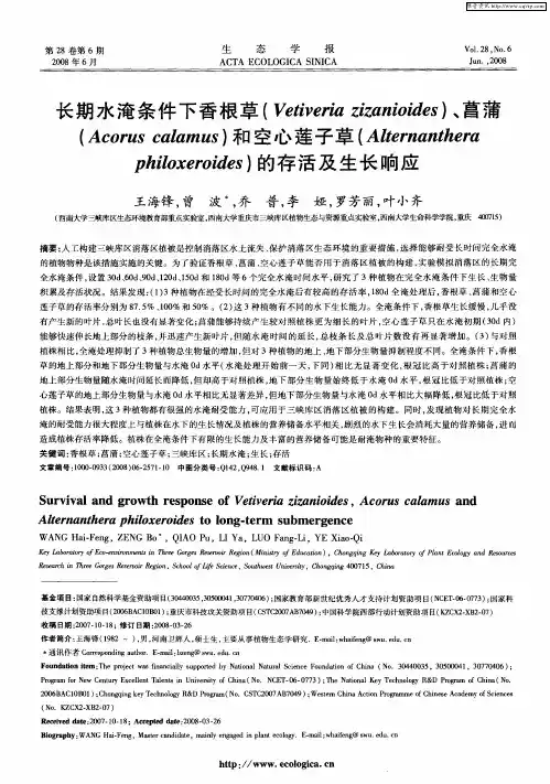 长期水淹条件下香根草(Vetiveria zizanioides)、菖蒲(Acorus calamus)和空心莲子草(Alternanthera