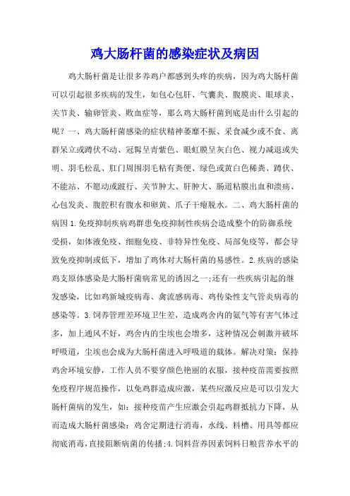 鸡大肠杆菌的感染症状及病因