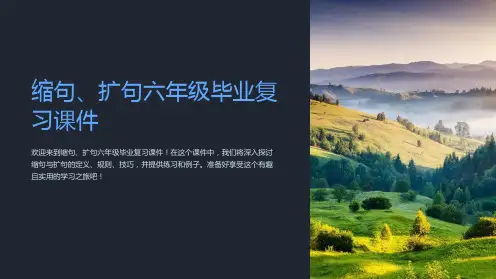 缩句、扩句六年级毕业复习课件