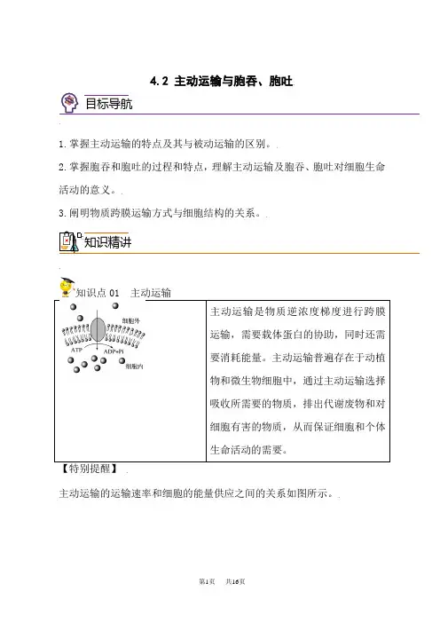 人教版高中生物必修第1册同步精品讲义  4.2 主动运输与胞吞、胞吐(学生版)