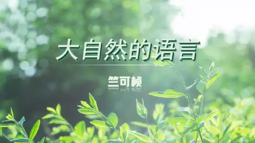 《大自然的语言》ppt课件