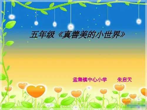 真善美的小世界完美版ppt课件