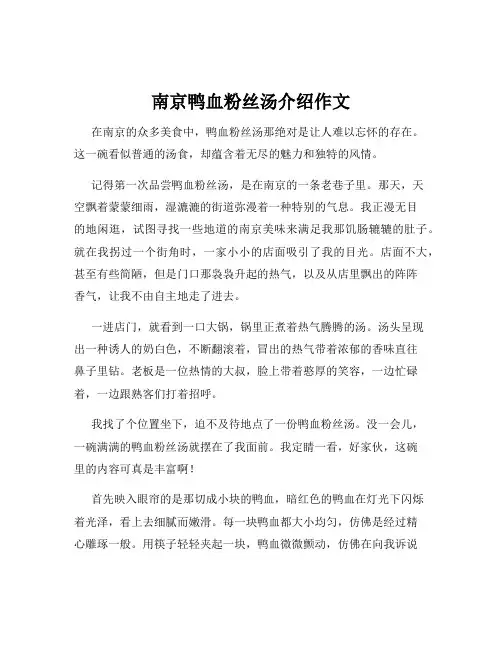 南京鸭血粉丝汤介绍作文