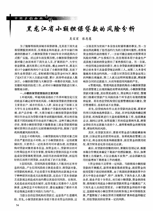 黑龙江省小额担保贷款的风险分析