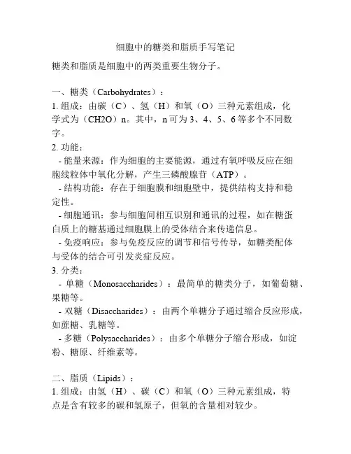 细胞中的糖类和脂质手写笔记