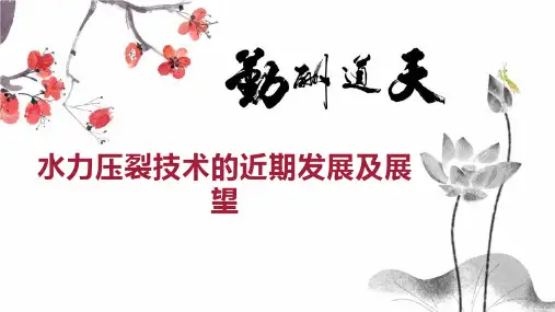 水力压裂技术的近期发展及展望