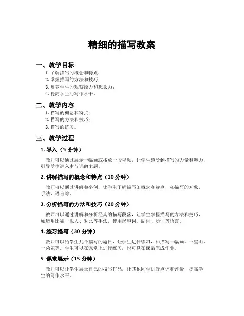 精细的描写教案