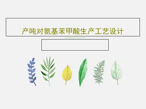 产吨对氨基苯甲酸生产工艺设计PPT共27页