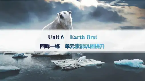 外研版高中英语学案必修第二册 Unit 6 Earth first 回眸一练 单元素能巩固提升
