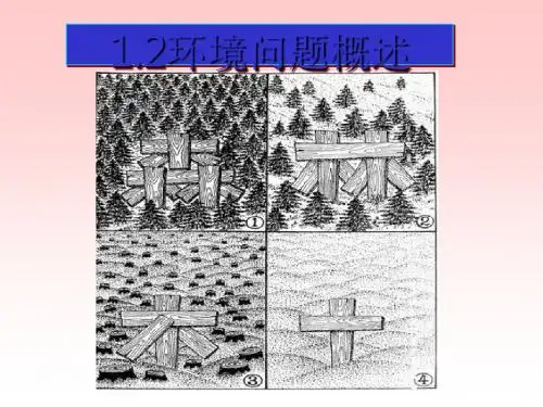 环境问题概述PPT课件(上课用)1