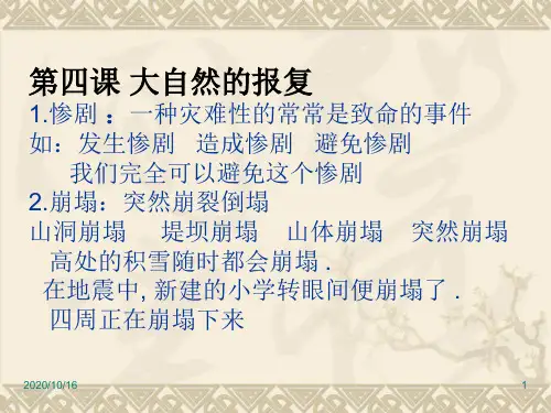 第四课大自然的报复词语课件概要PPT教学课件