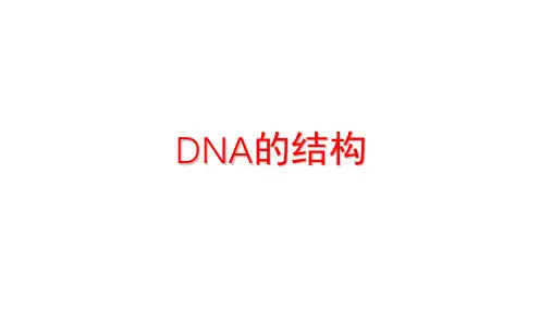 DNA模型构建过程及DNA结构课件-高一生物人教版必修2