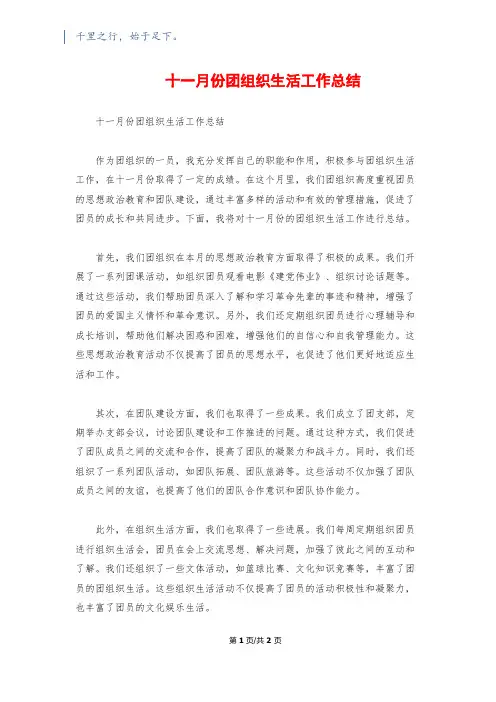 十一月份团组织生活工作总结