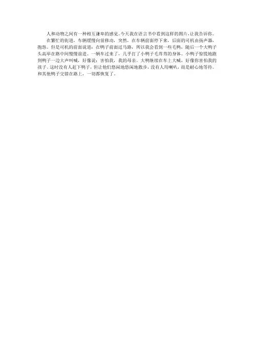 给鸭子让路