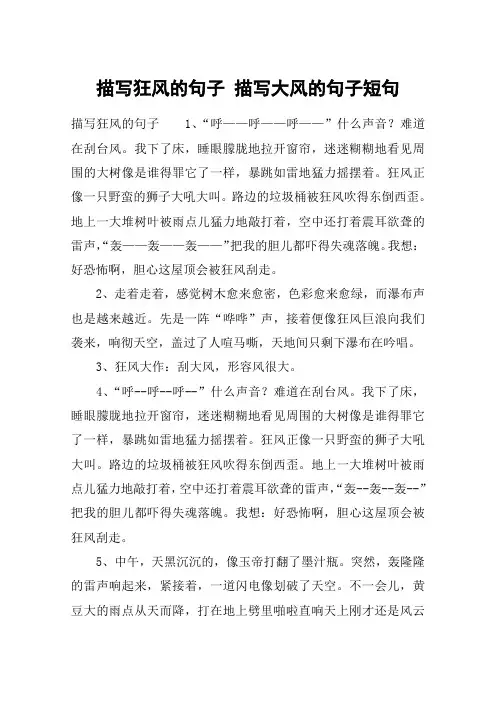 描写狂风的句子 描写大风的句子短句