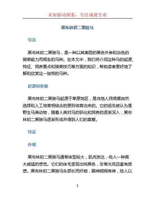 黑布林初二黑骏马_wxh