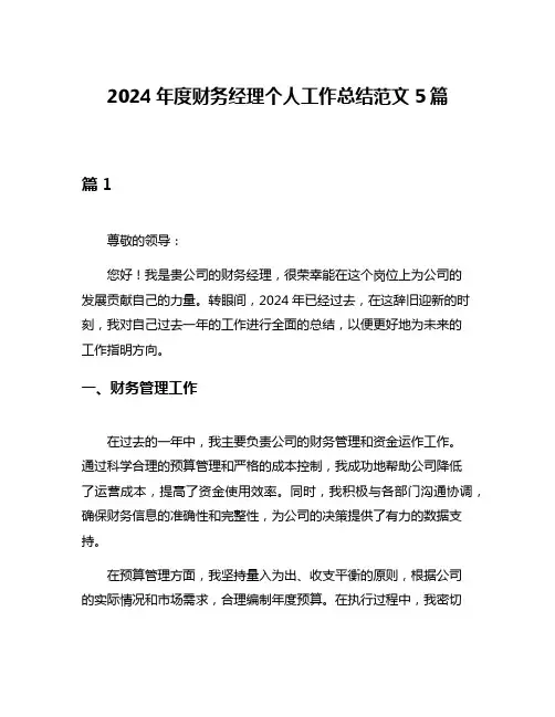 2024年度财务经理个人工作总结范文5篇