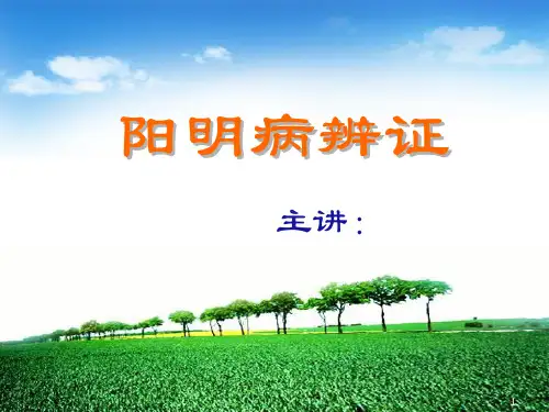 阳明病辨证精品PPT课件