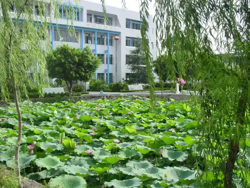 九年级语文开学第一课PPT课件