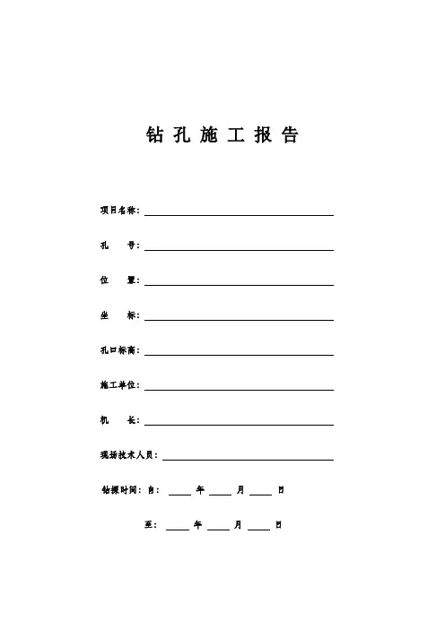 水文地质钻孔编录表格(全套)