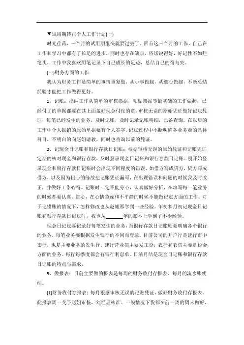 试用期转正个人工作计划5篇