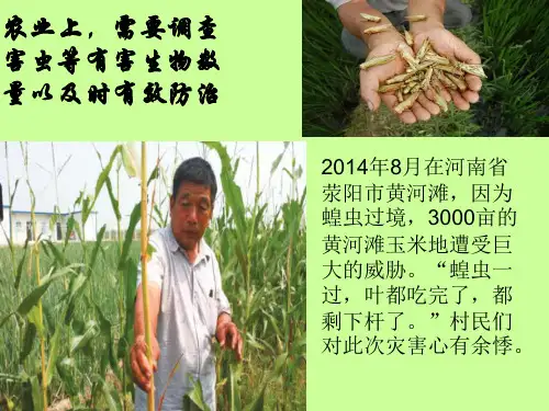 《调查种群密度的方法》课